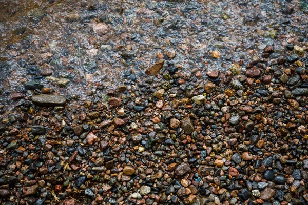 Sten på stranden — Stockfoto