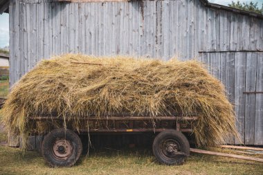 Hay hay arka plan üzerinde eski arabası