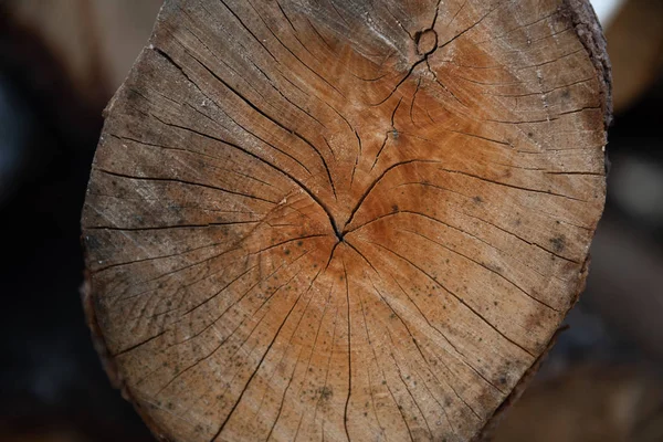 Fente de bois scié Bouleau — Photo