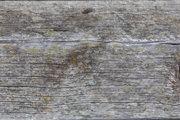 Fondo de madera gris Textura de primer plano —  Fotos de Stock