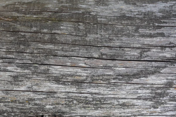 Gray wood background close-up Texture — Stock Photo, Image