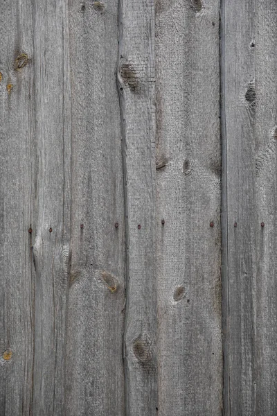 Wooden gray background texture many scratches pine — Stock Photo, Image