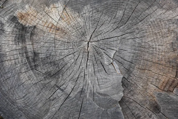 Дерев'яна сіра текстура тла багато подряпин — стокове фото