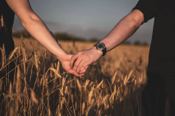 Pareja cogida de la mano en un campo de trigo — Foto de Stock