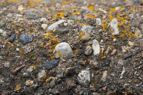 Большие камни на бетонном фоне — стоковое фото