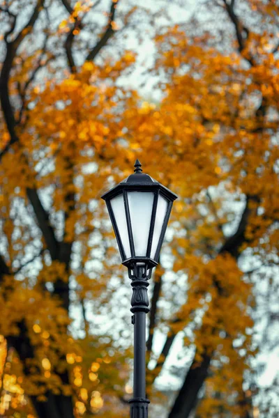 Old lamppost on a background of autumn trees — Stock Photo, Image