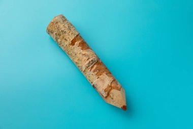 Büyük mavi kalem ağaç dal kabuk mavi arka plan ile. En az tarzı. üstten görünüm