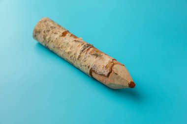 Büyük mavi kalem ağaç dal kabuk mavi arka plan ile. En az tarzı. üstten görünüm