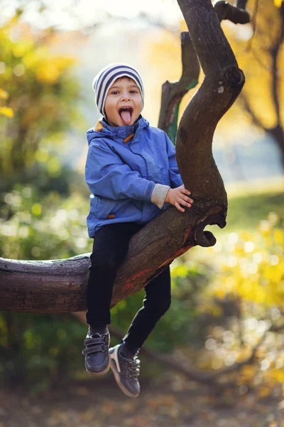 Chlapeček sedí na větvi stromu a ukazuje jeho jazyk. Dětská crawling na stromě — Stock fotografie