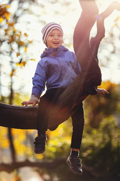 Malý chlapec na větev stromu. dítě vyšplhá na strom — Stock fotografie