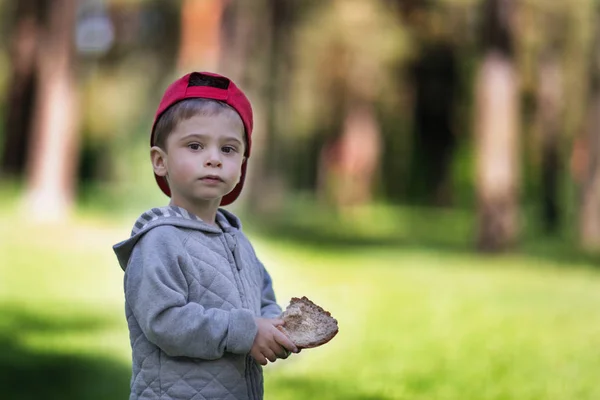 Chleba v ruce dítěte. Chlapec v doménové struktuře uchovává potraviny v ruce — Stock fotografie