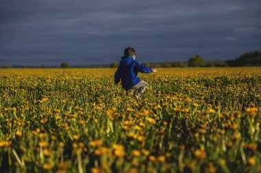 Bir yaz gününde karahindiba ile çocuk