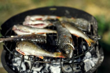 ızgarada ızgara balık pişirme