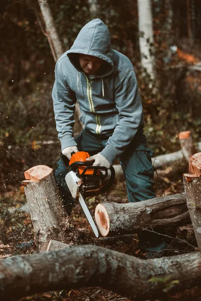 Muž, který řeže strom motorovou pilou. odstraňuje lesní plantáže ze starých stromů, připravuje dřevo na podpal. — Stock fotografie