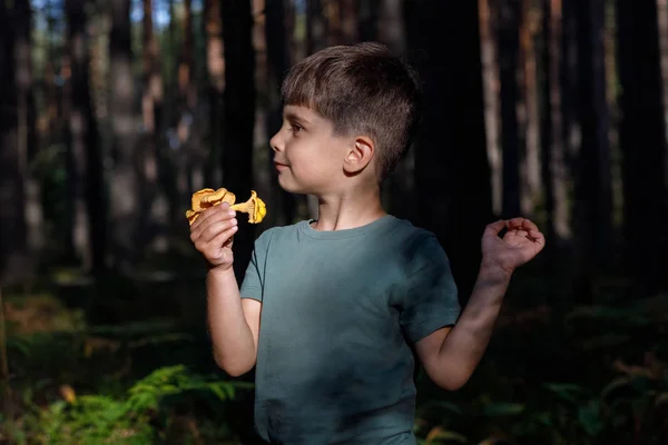 Dítě chodí do lesa a vybírá houby. sluneční paprsek — Stock fotografie