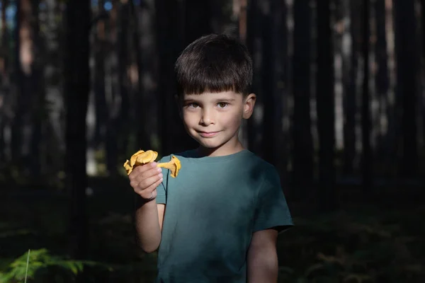 Dítě v lese, drží houby. Dítě v lesním pojetí, malý sbírat, den pádu — Stock fotografie