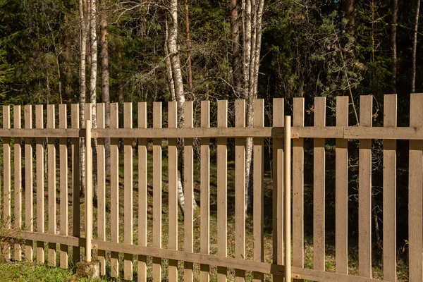 Trästaket. utsikt från hemmet till skogen genom staketet — Stockfoto