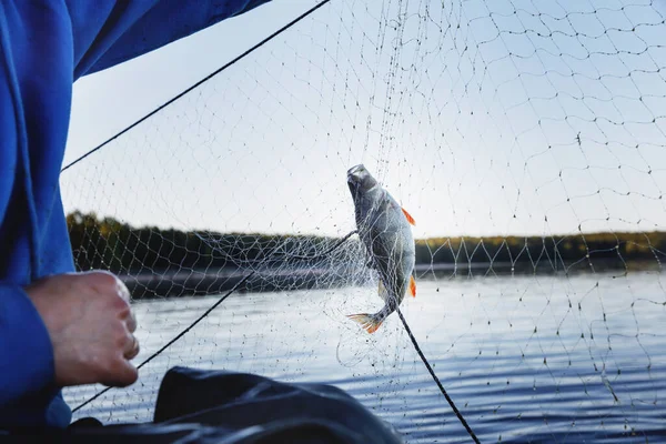 Fiskenät från en båt. — Stockfoto