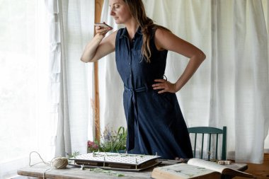 Çiçekçi inek bitkileri kurutur ve hasat eder. Çiçekçinin atölyesinde çalışan kız..