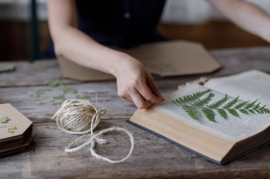 Çiçekçi inek bitkileri kurutur ve hasat eder. Çiçekçinin atölyesinde çalışan kız..