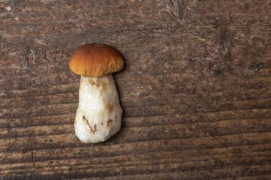 Ahşap arka planda beyaz mantar. en üstteki görünüm