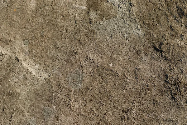 Close-up da textura da pedra junto ao lago. — Fotografia de Stock