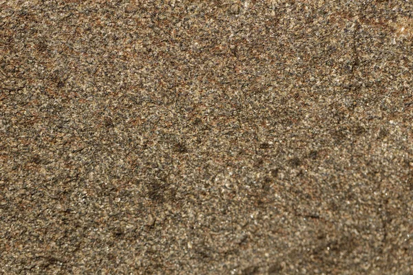 Close-up van de textuur van de steen bij het meer. — Stockfoto
