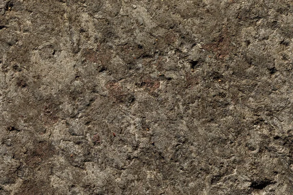 Close-up da textura da pedra junto ao lago. — Fotografia de Stock