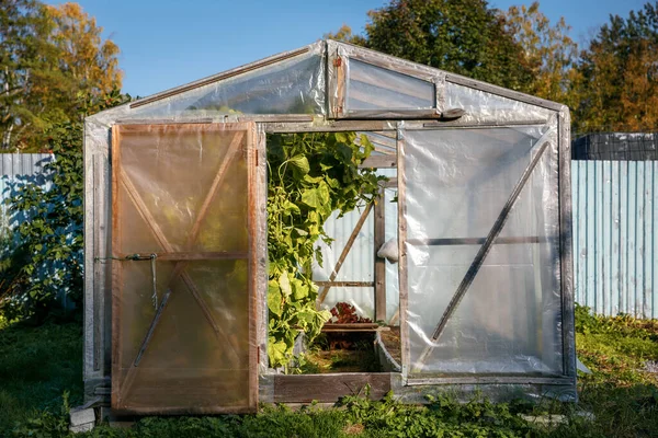 Kis uborkás üvegház. Friss zöldségeket termesztesz a tanyán a saját kezeddel.. — Stock Fotó