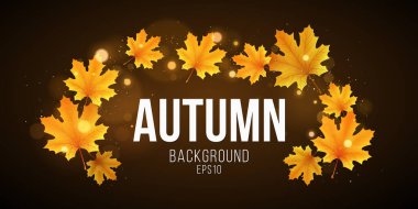 Sonbahar portakal akçaağaç yapraklarının soyut afişi. Tasarımınız için sonbahar şablonu. Soyut altın ışıklar bokeh. Mevsimlik kapak. Vektör çizimi. EPS 10.