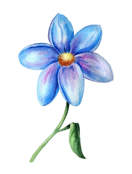 Belle aquarelle une fleur bleue — Photo