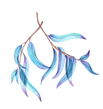 Botanik suluboya çizimi narin yeşil yaprakları.