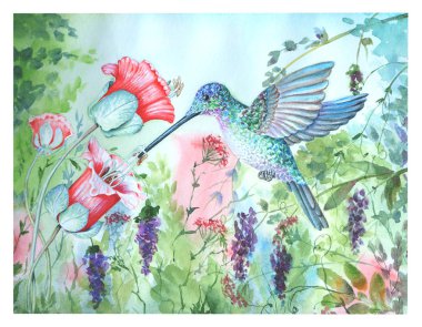 tropikal, suluboya, kuş, boyama, sprey bir arka planda yeşil Hummingbird,