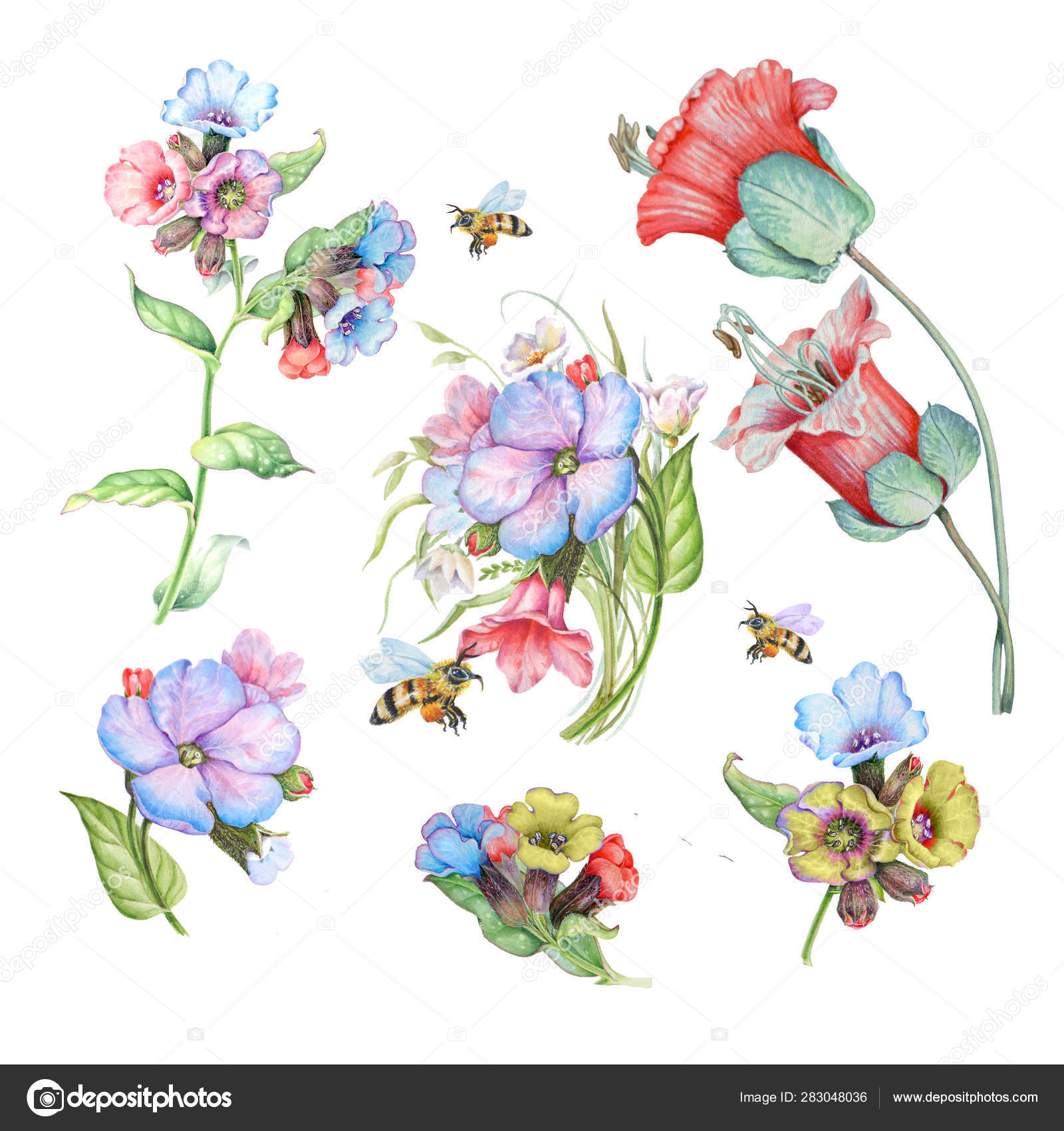 繊細な春の花とミツバチを描いたイラスト ストック写真 C Art Kva