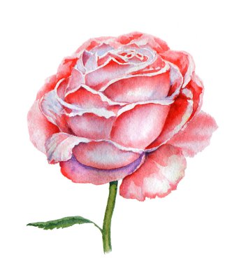 Soyut bir şekilde yazılmış gül çiçeği