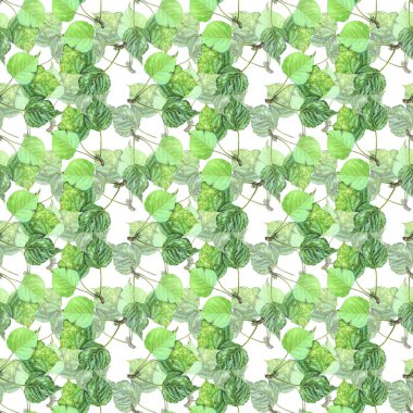 Yeşil kavak yaprakları ile suluboya dikişsiz arka plan.