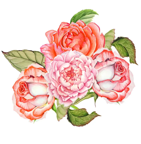 Botanical watercolor drawing of a bouquet of roses on a white background. — Stock Photo, Image