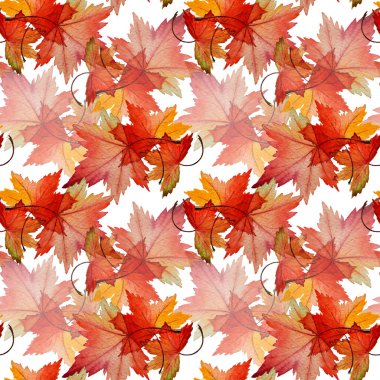 Sonbahar kırmızı sıyrık Botanik dikişsiz suluboya desen Acer tataricum yaprakları.