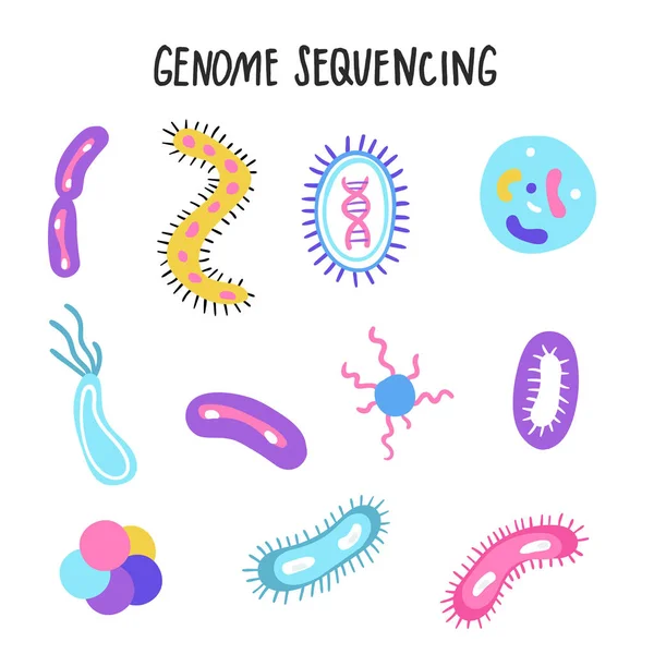 손으로 그린 게놈 시퀀싱 그림입니다. 인간의 dna 연구 기술 기호입니다. 인간 게놈 프로젝트. — 스톡 벡터