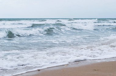 güneşli bir günde deniz kenarında gale
