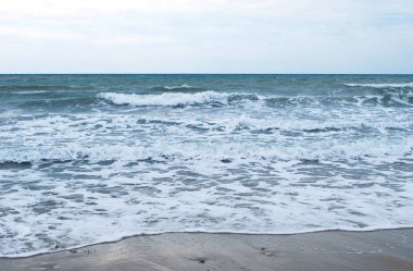 güneşli bir günde deniz kenarında gale