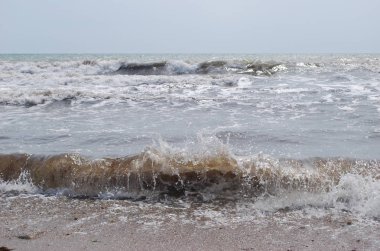 güneşli bir günde deniz kenarında gale