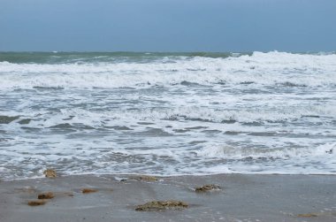 Deniz kenarında Gale