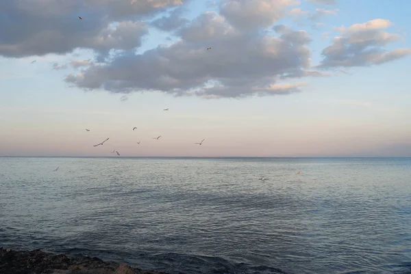 Mer Calme Par Une Journée Ensoleillée — Photo