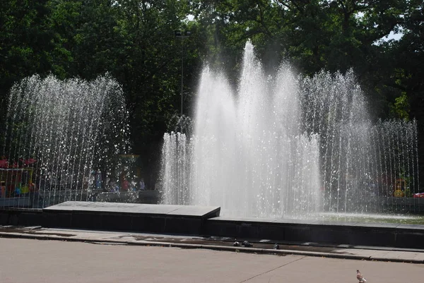 Refrescante Fonte Ftrui Parque Verão — Fotografia de Stock