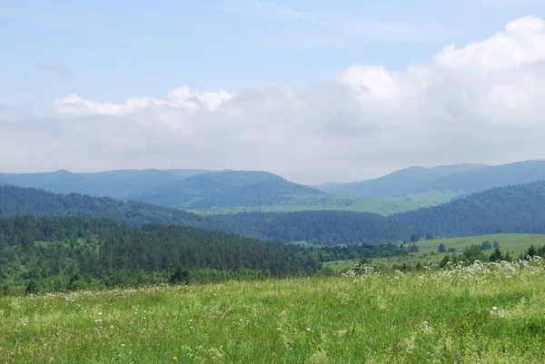 Lato Pezazh Karpackie Góry — Zdjęcie stockowe