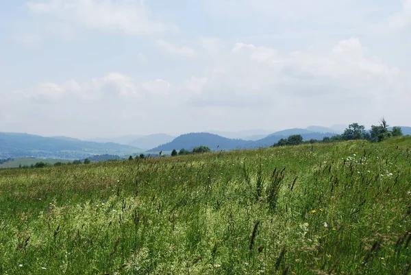 Sommer Pezazh Karpaten — Stockfoto