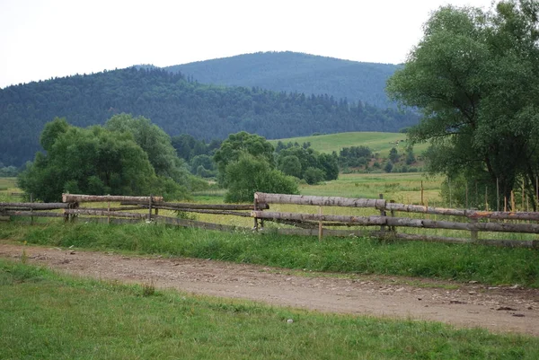 Lato Pezazh Karpackie Góry — Zdjęcie stockowe