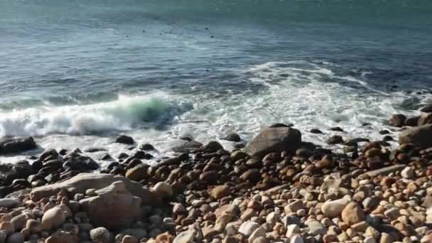 Vågorna Kraschar Pebble Beach Nära Camp Bay Kapstaden — Stockvideo