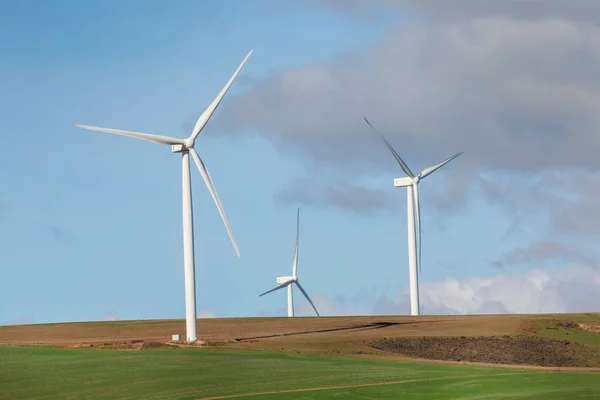 Výroba Elektrické Energie Větrných Turbín Zemědělském Poli Jižní Africe — Stock fotografie